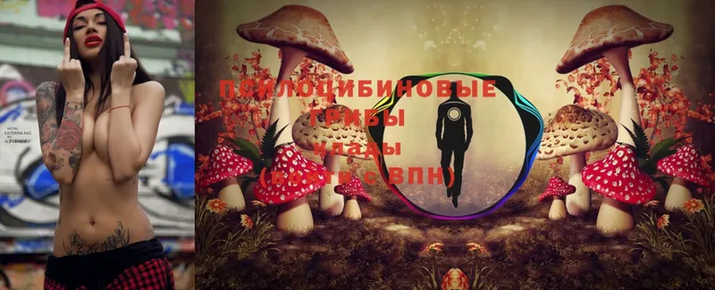 Галлюциногенные грибы Psilocybe  ОМГ ОМГ ONION  Вязьма 